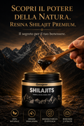 gid://shopify/MediaImage/70781278126429